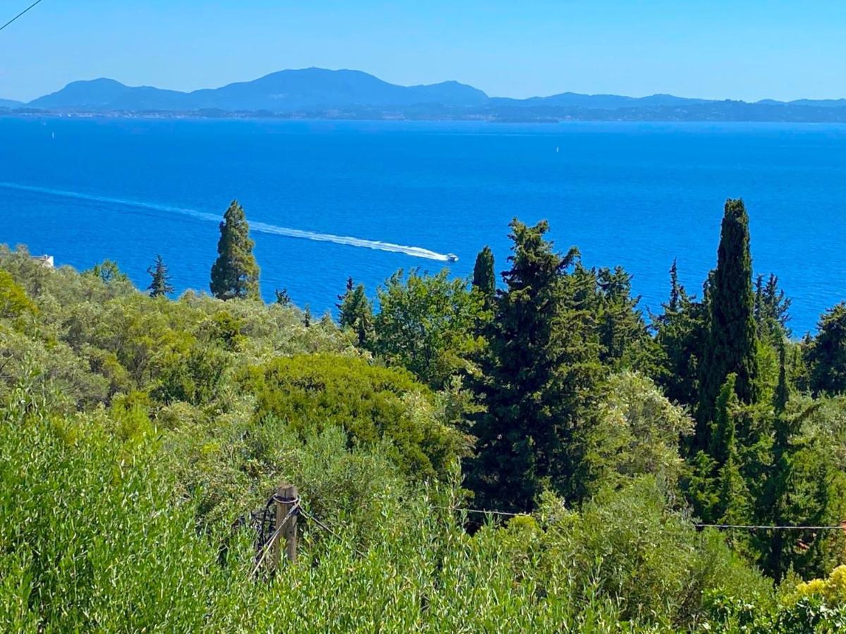 Villa Aliki Nissaki With Private Pool By Dadovillas Nisaki  Exterior foto